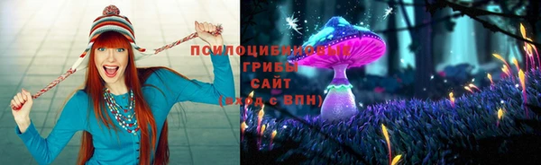 твердый Инсар