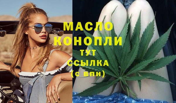 твердый Инсар