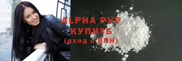 твердый Инсар