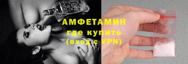 твердый Инсар