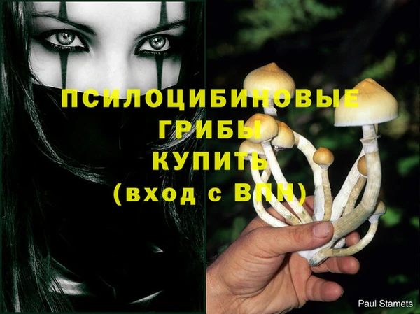 прущие крисы Зеленокумск