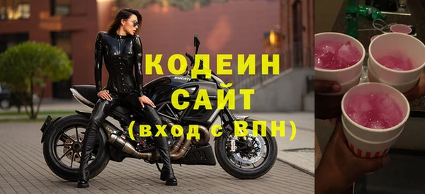 твердый Инсар