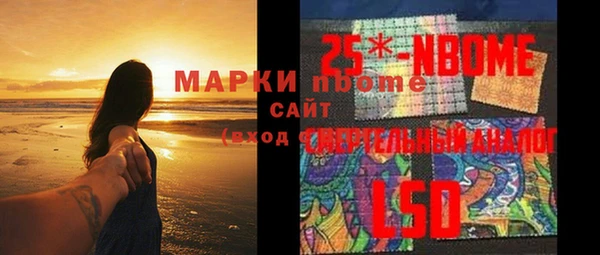 твердый Инсар