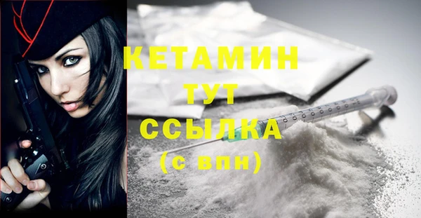 твердый Инсар