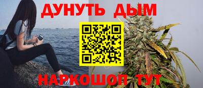 сатива Дубна