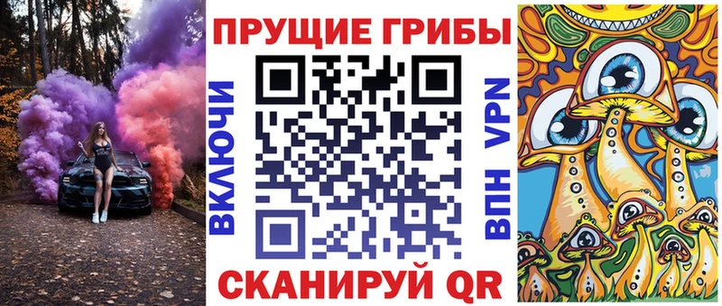 блэк спрут ТОР  Карталы  Галлюциногенные грибы Psilocybe 