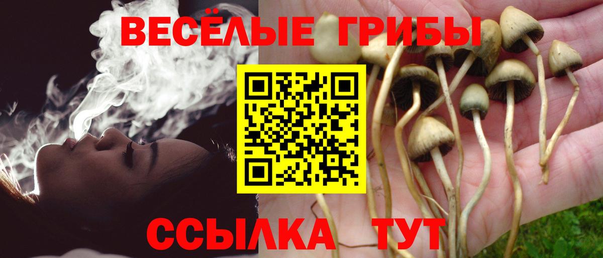 купить   Вход с VPN  Карталы  Псилоцибиновые грибы мухоморы 