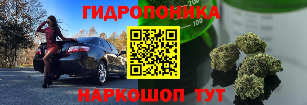 Канабис гибрид  Шишки марихуана индика  Карталы  Вход с VPN  Канабис сатива  Бошки Шишки тримм 